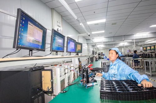 擦亮射陽名片 網(wǎng)絡(luò)技術(shù)研發(fā)賦能營商環(huán)境溫度升級